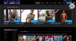 Desktop Screenshot of gaycamsetc.com